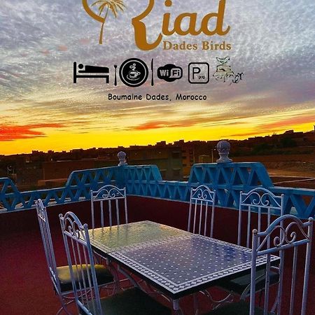 Riad Dades Birds Boumalne Dades ภายนอก รูปภาพ