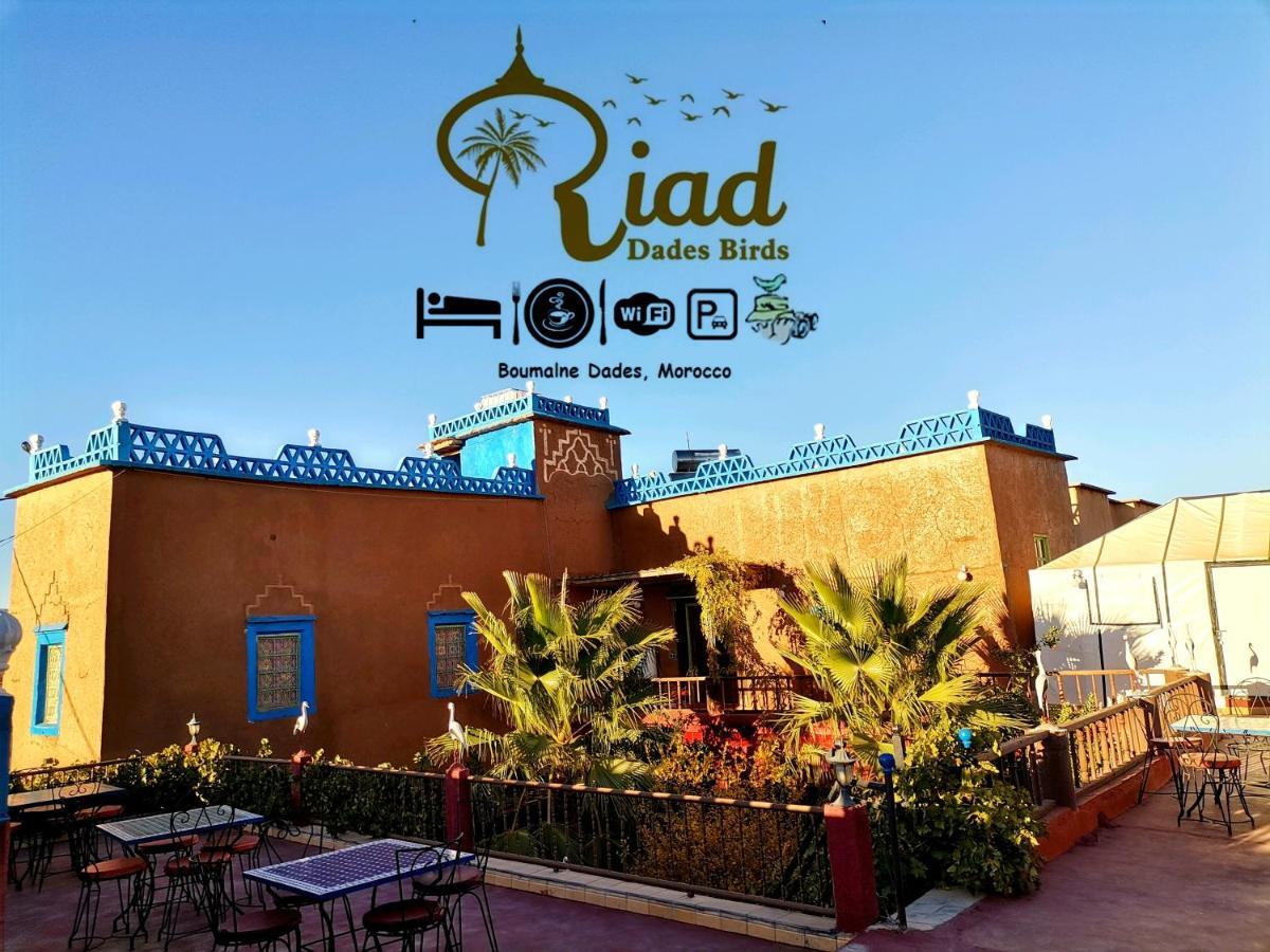 Riad Dades Birds Boumalne Dades ภายนอก รูปภาพ