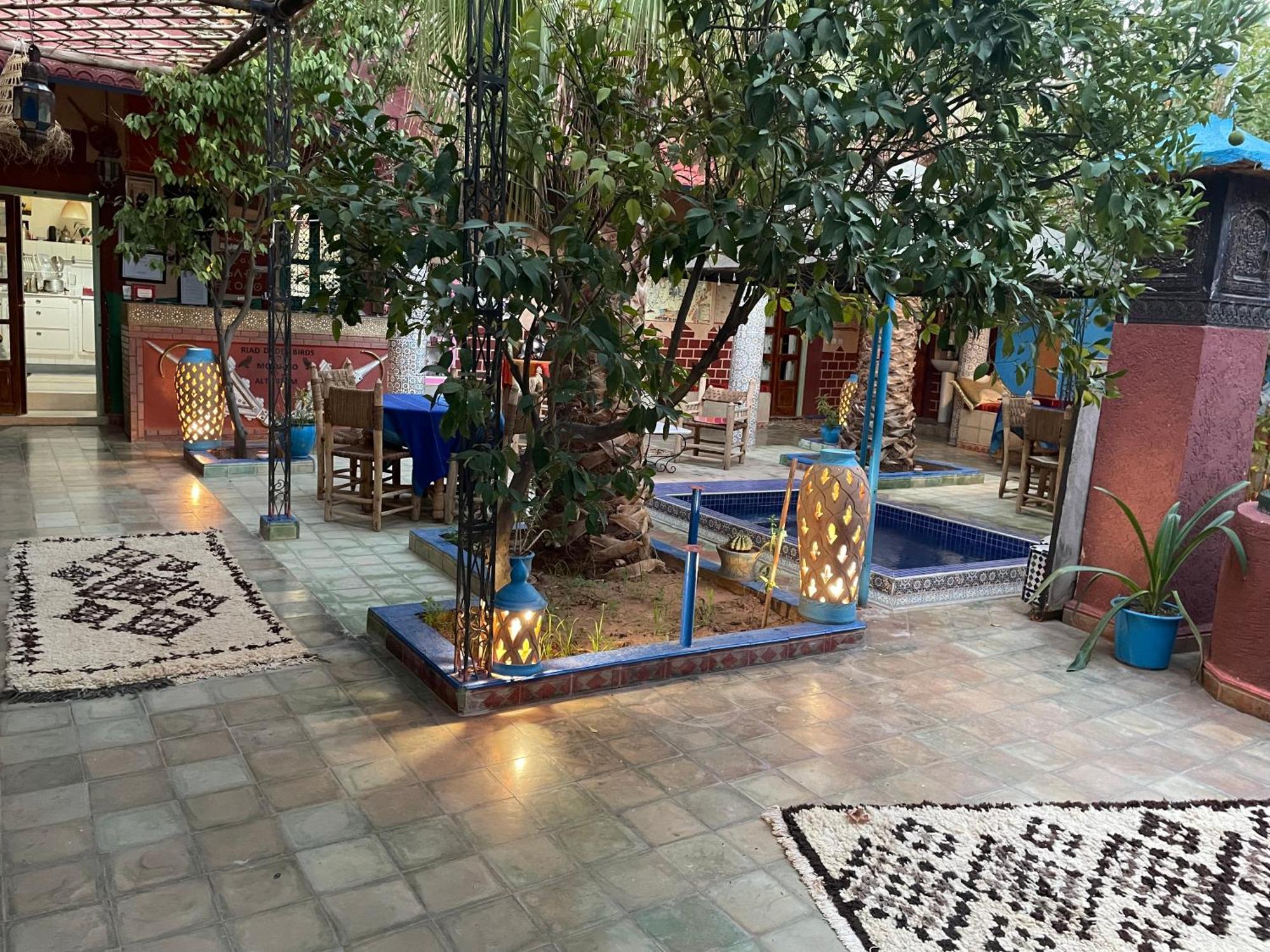 Riad Dades Birds Boumalne Dades ภายนอก รูปภาพ