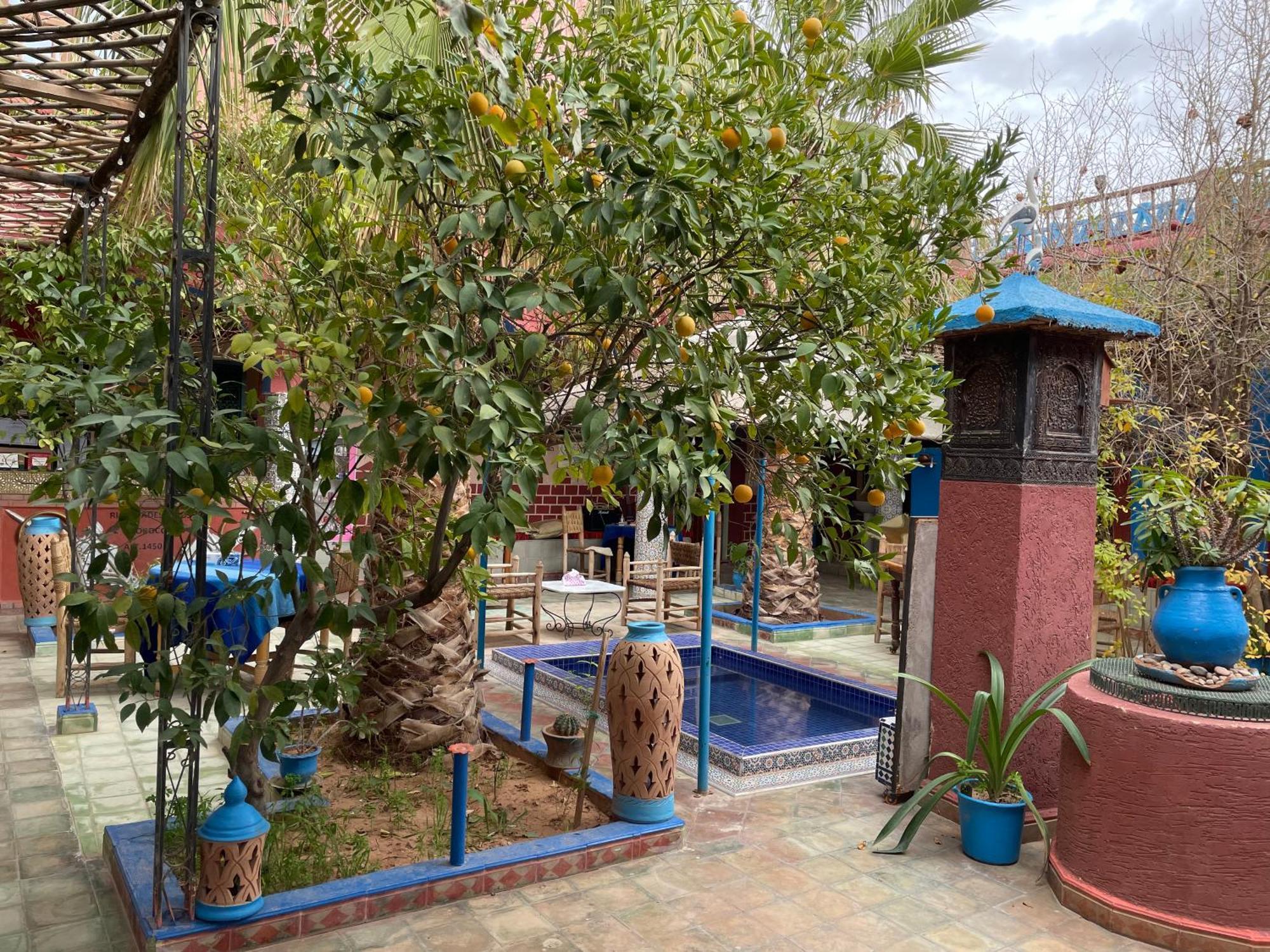 Riad Dades Birds Boumalne Dades ภายนอก รูปภาพ